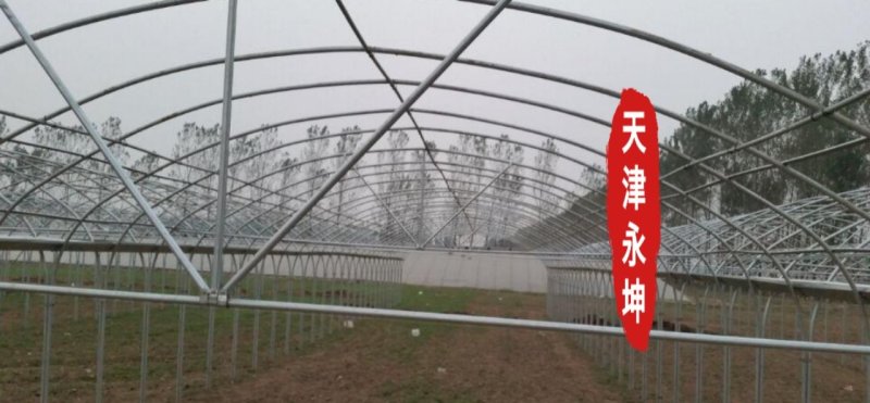 大棚蔬菜大棚草莓大棚种植西瓜大棚简易大棚安全有保障