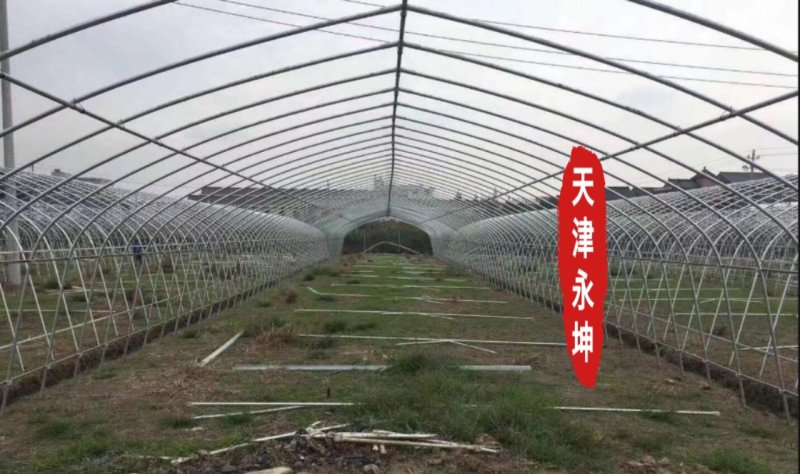 大棚蔬菜大棚草莓大棚种植西瓜大棚简易大棚安全有保障