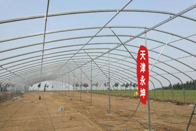 大棚蔬菜大棚草莓大棚种植西瓜大棚简易大棚安全有保障