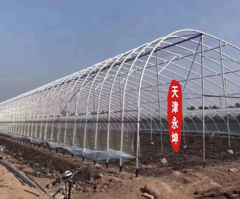 大棚蔬菜大棚草莓大棚种植西瓜大棚简易大棚安全有保障