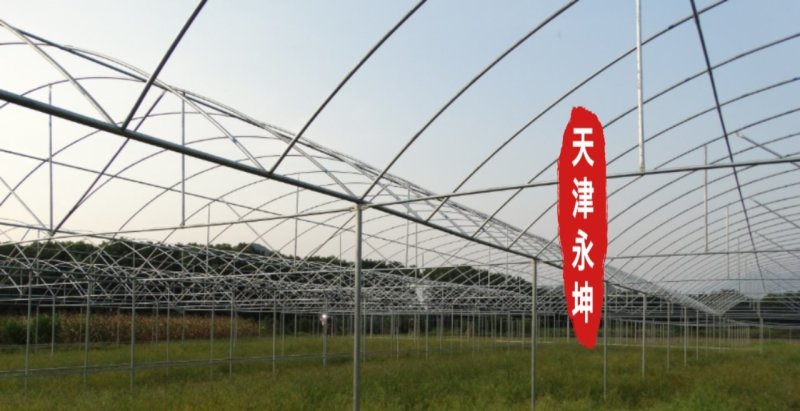 大棚蔬菜大棚草莓大棚种植西瓜大棚简易大棚安全有保障