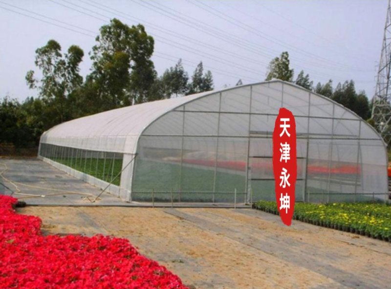 大棚蔬菜大棚草莓大棚种植西瓜大棚简易大棚安全有保障