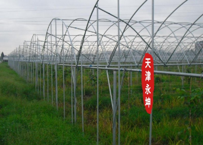 大棚蔬菜大棚草莓大棚种植西瓜大棚简易大棚安全有保障
