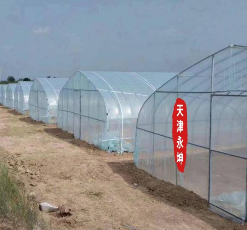 大棚蔬菜大棚草莓大棚种植西瓜大棚简易大棚安全有保障