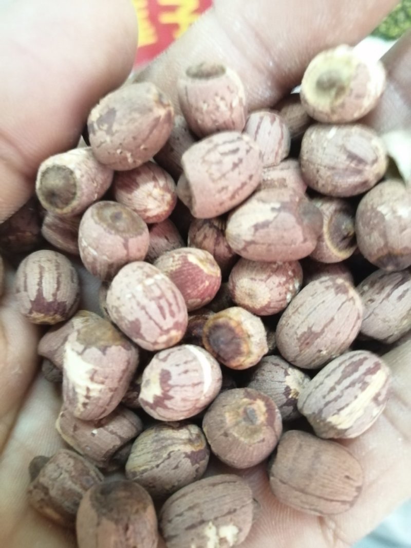 莲子，药食两用莲子，颜色漂亮干度好，各规格现货供应