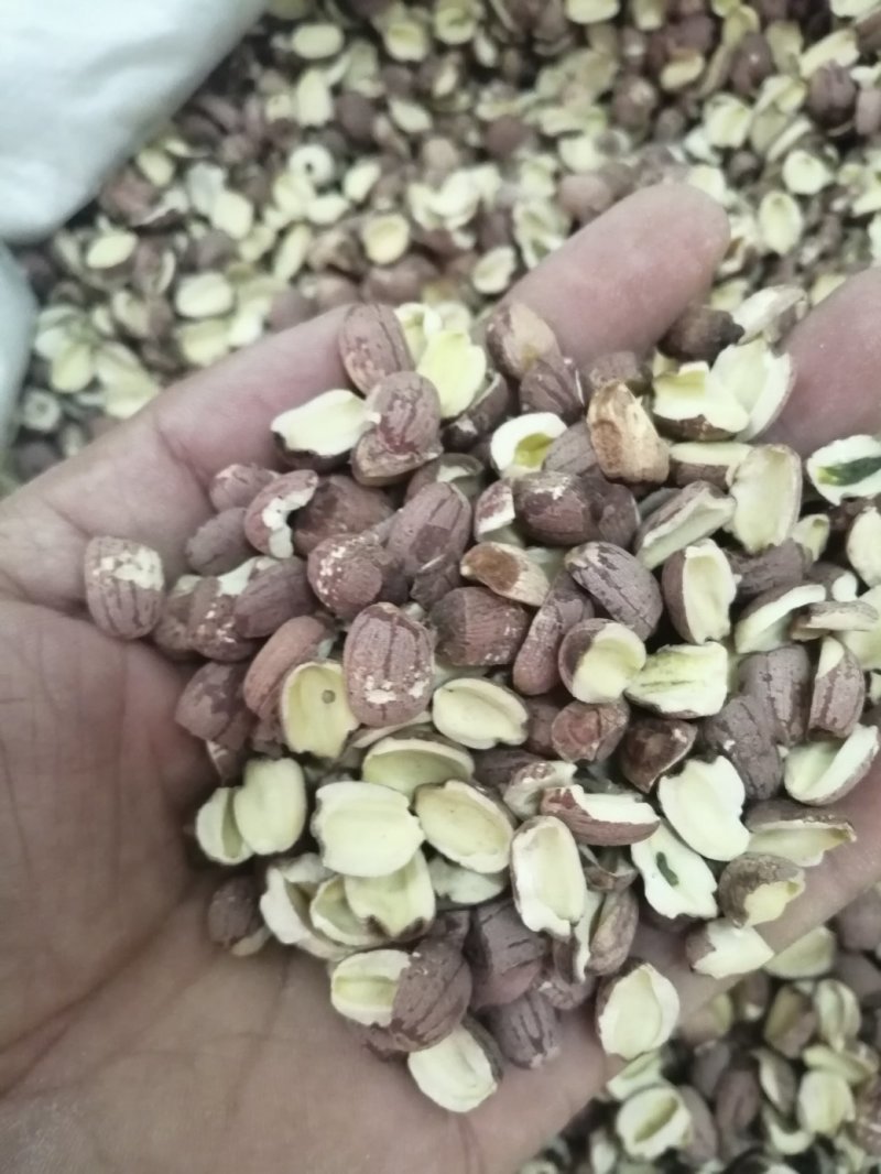 莲子，药食两用莲子，颜色漂亮干度好，各规格现货供应