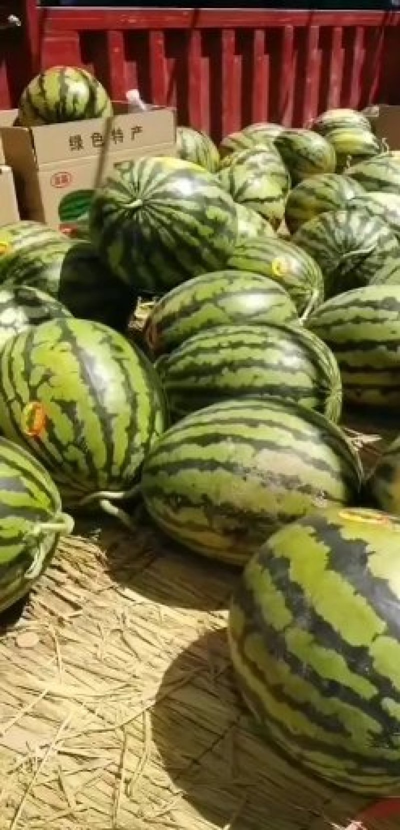 陕西精品甜王正在热卖中！大量供应各大批发商超市