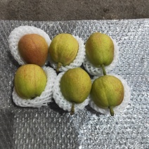 新疆正宗库尔勒香梨，假一赔十。