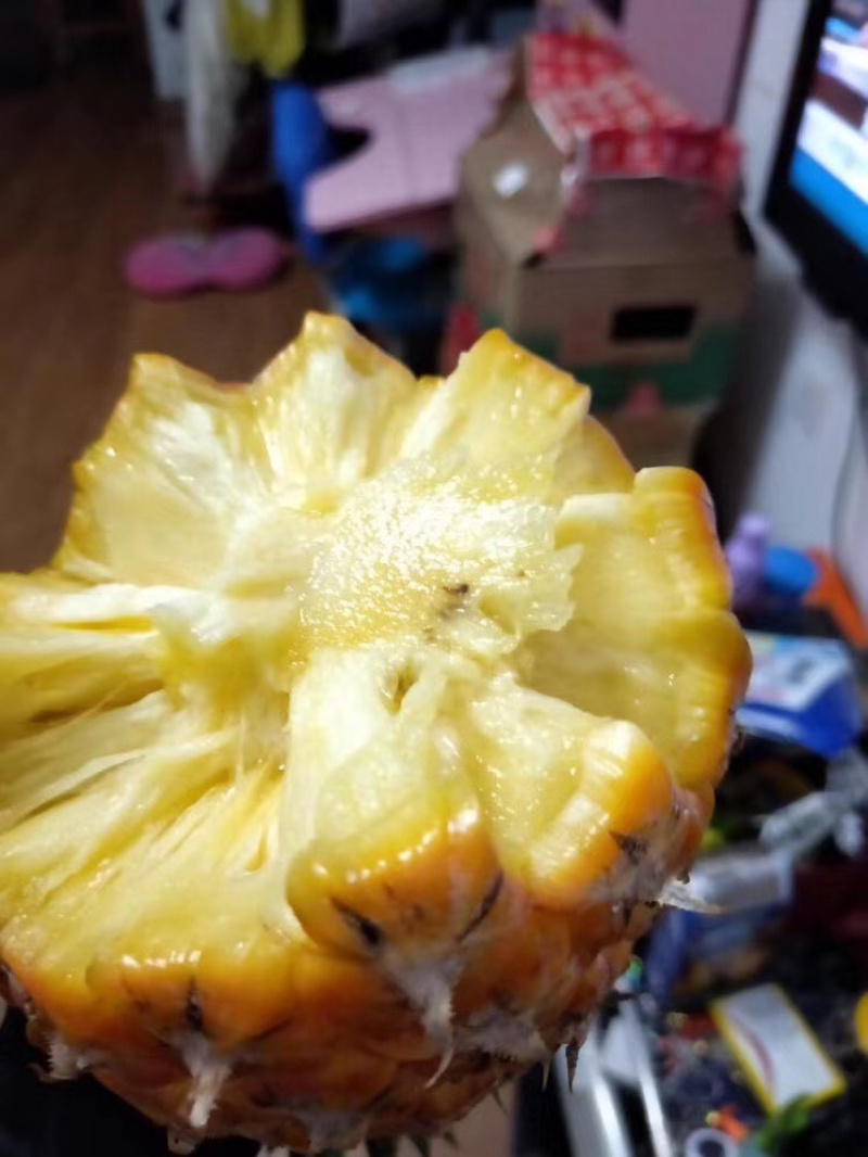 【顺丰陆运】海南手撕凤梨菠萝现摘现发支持电商平台代发