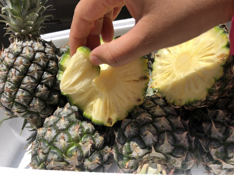 【顺丰陆运】海南手撕凤梨菠萝现摘现发支持电商平台代发
