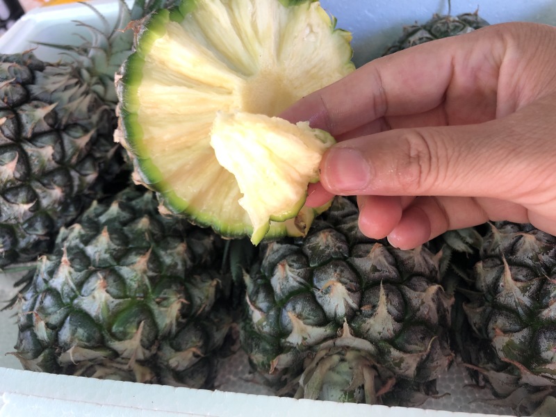 【顺丰陆运】海南手撕凤梨菠萝现摘现发支持电商平台代发