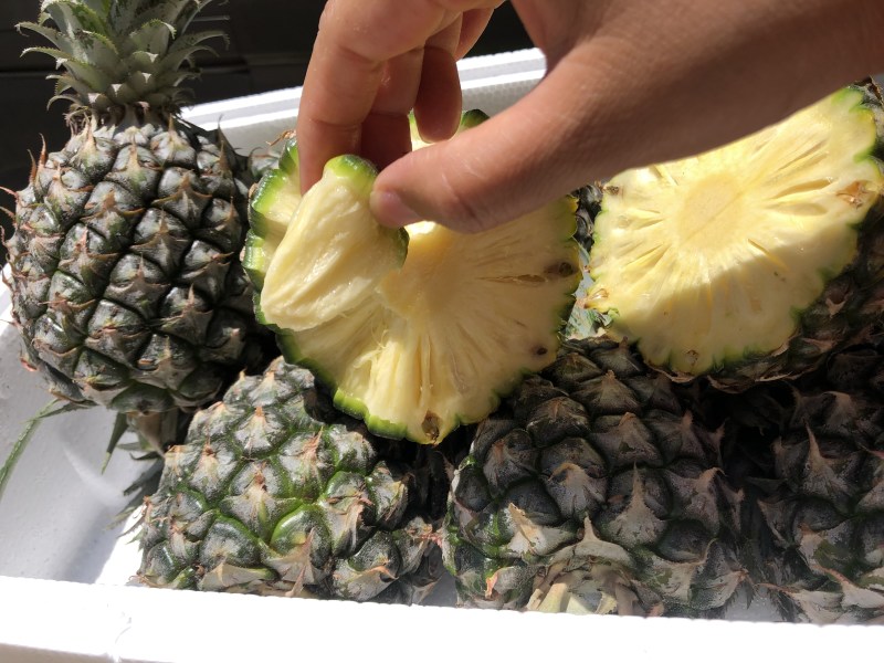 【顺丰陆运】海南手撕凤梨菠萝现摘现发支持电商平台代发