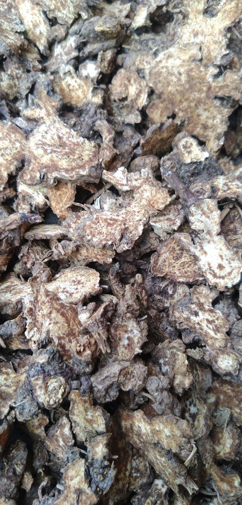 茅苍术麸炒苍术商洛道地源产地现货大量供应