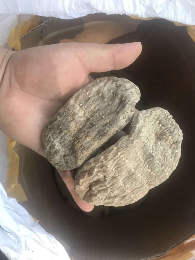 天麻小草坝大乌天麻天麻浓地道天麻产地直发