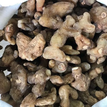 黄精