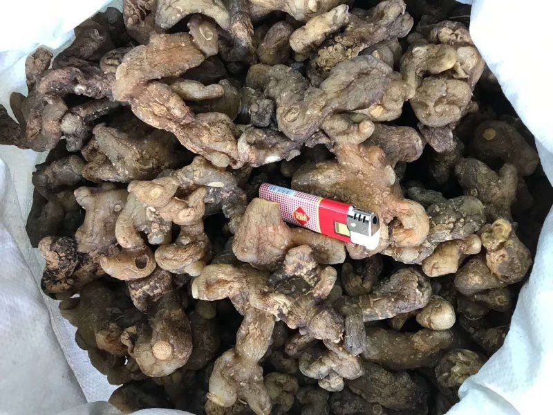 黄精