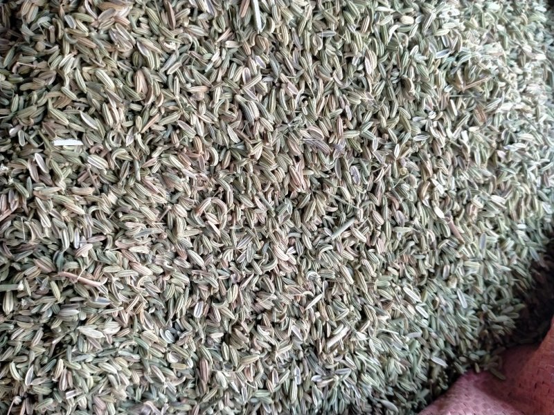 小茴香产地直供！一手货源大货批发价格优！