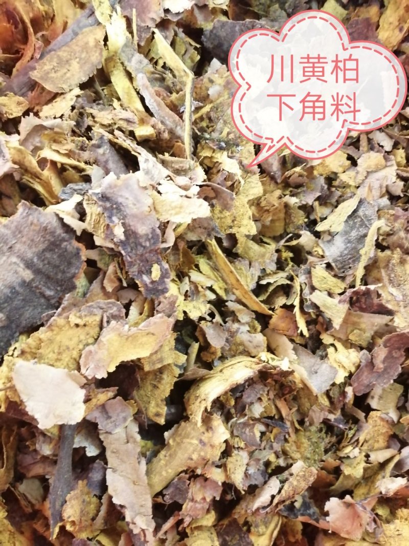 川黄柏，黄柏丝，未去外粗皮干切黄柏丝，货干颜色漂亮