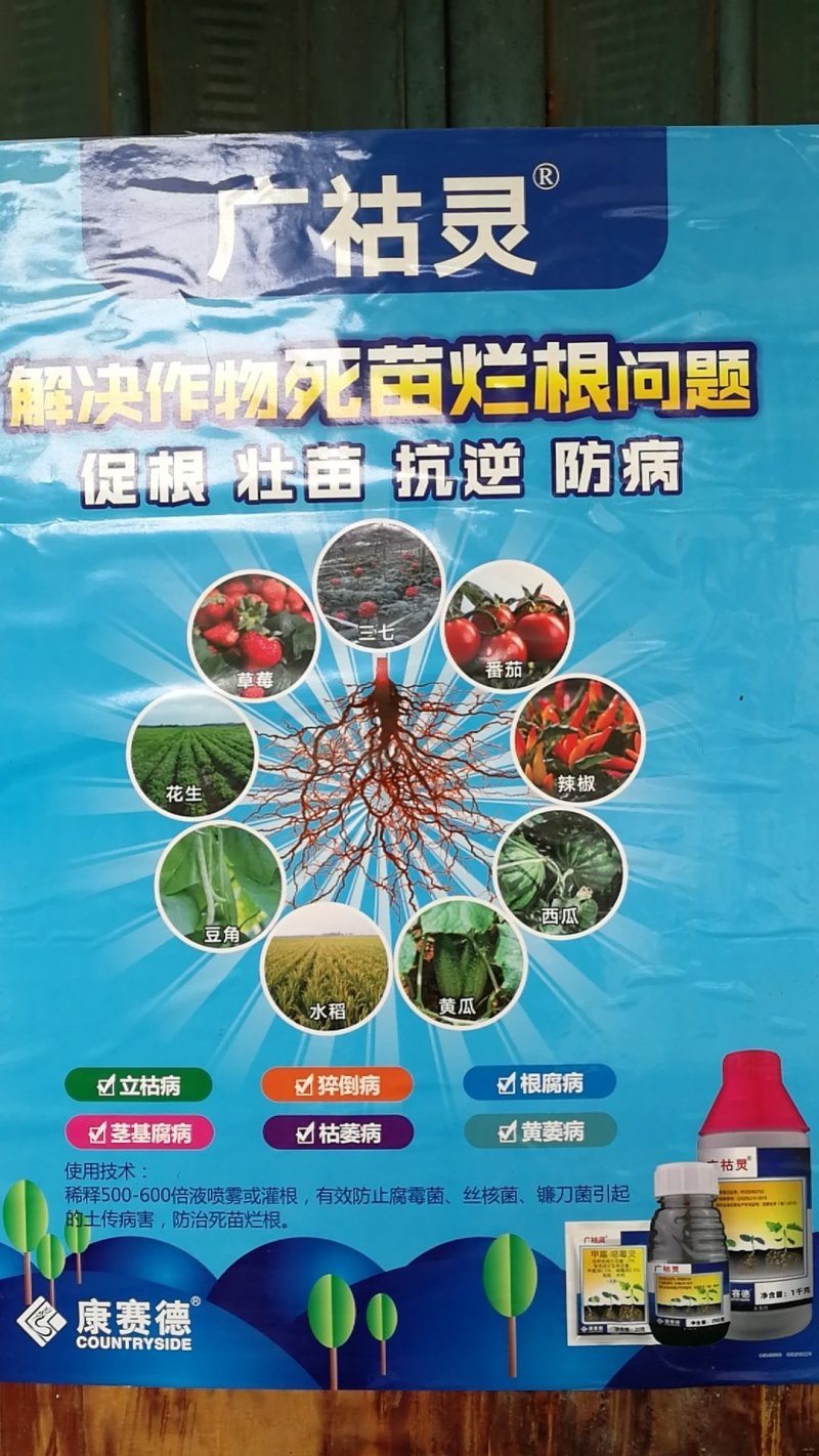 甲霜噁霉灵根腐病猝倒病枯萎病立枯病生根壮苗成活率高
