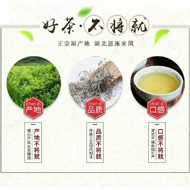 藤茶