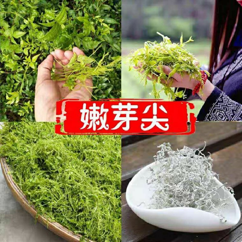 藤茶