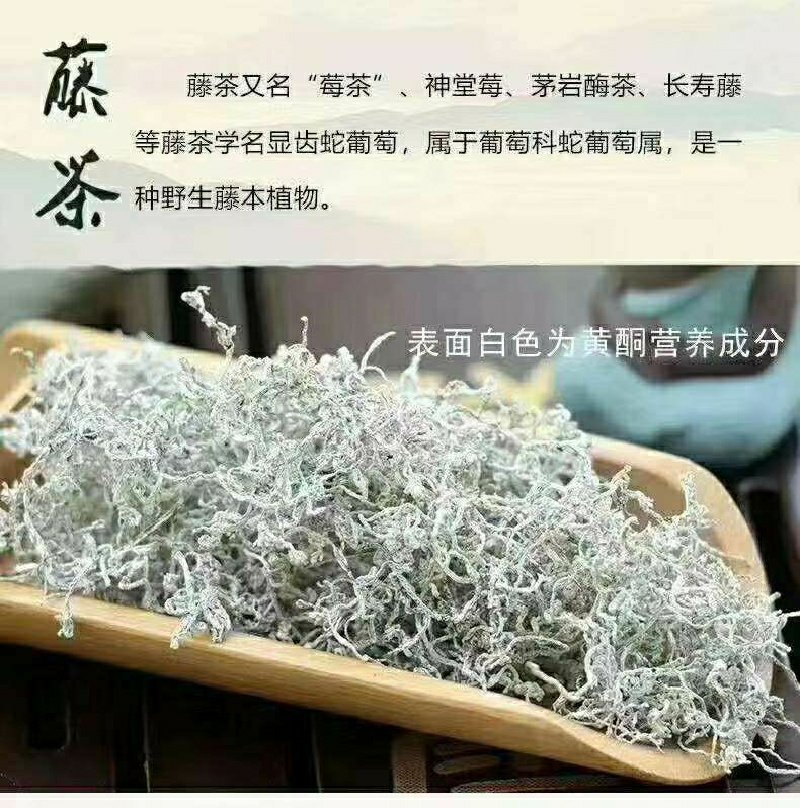 藤茶