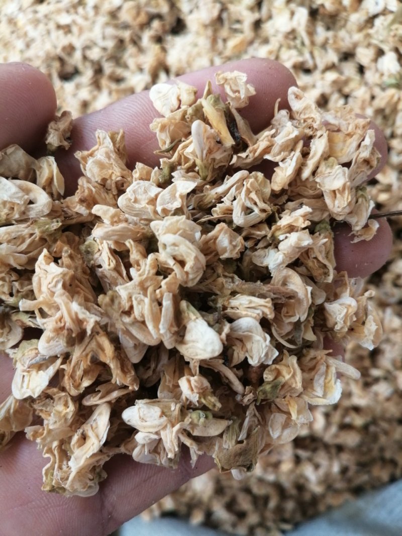 扁豆花，中药材扁豆花颜色漂亮长期有货供应