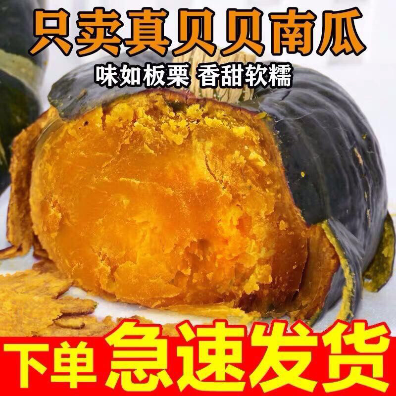 板栗南瓜，贝贝南瓜，基地直发，欢迎新老顾客