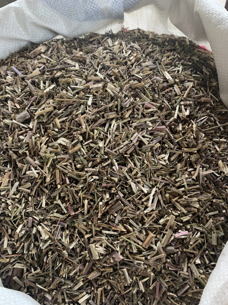 荆芥无土干净一公斤起批