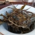 普洱茶