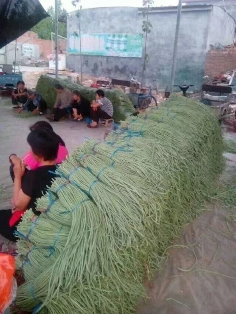 精品豇豆
