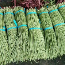 精品豇豆