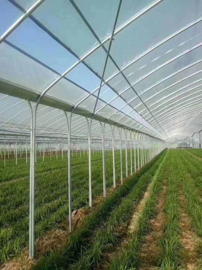 蔬菜大棚大棚温室骨架大棚骨架使用寿命长不易生锈