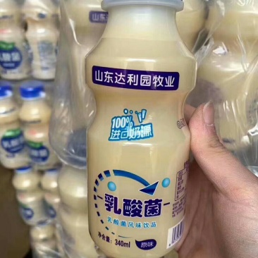 达利园益生菌胃动力乳酸菌风味饮品340mlx12瓶装