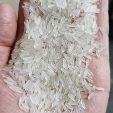 洪湖忆口香大米，当年黄华占精米，可视频看货，产地直供，
