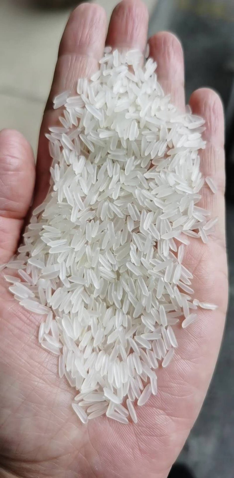 洪湖忆口香大米，当年黄华占精米，可视频看货，产地直供，