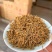金骏眉红茶小嫩芽头明前桐木关红茶手工制作高山花香型耐泡型