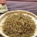 金骏眉红茶小嫩芽头明前桐木关红茶手工制作高山花香型耐泡型