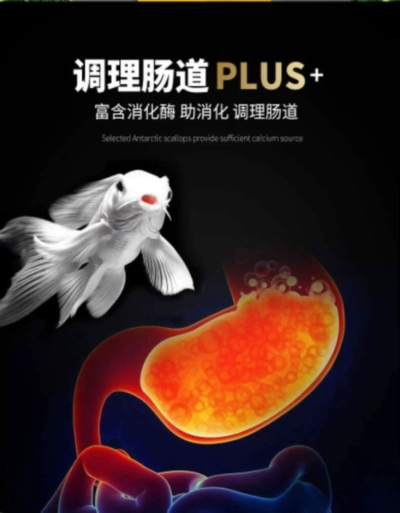 球体蝴蝶鲤