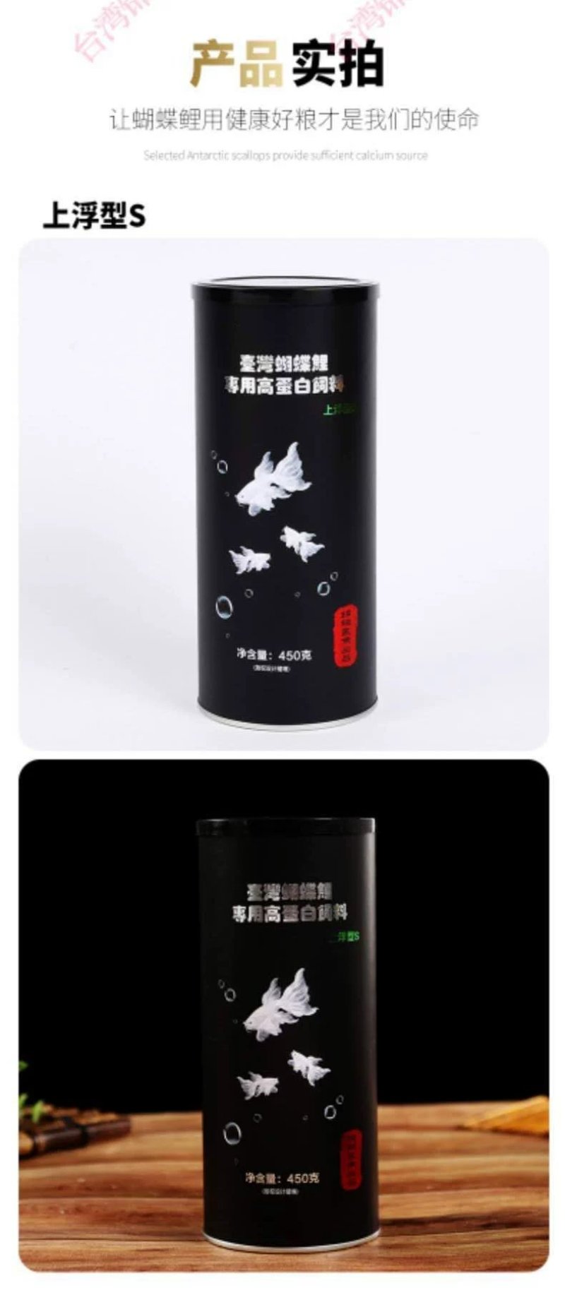 球体蝴蝶鲤