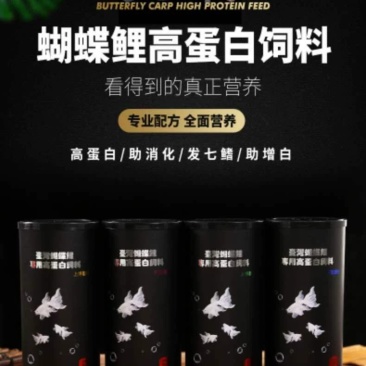 球体蝴蝶鲤
