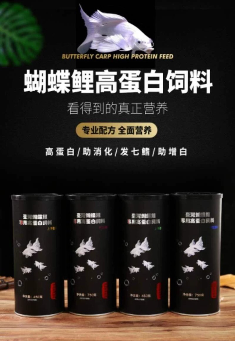 球体蝴蝶鲤