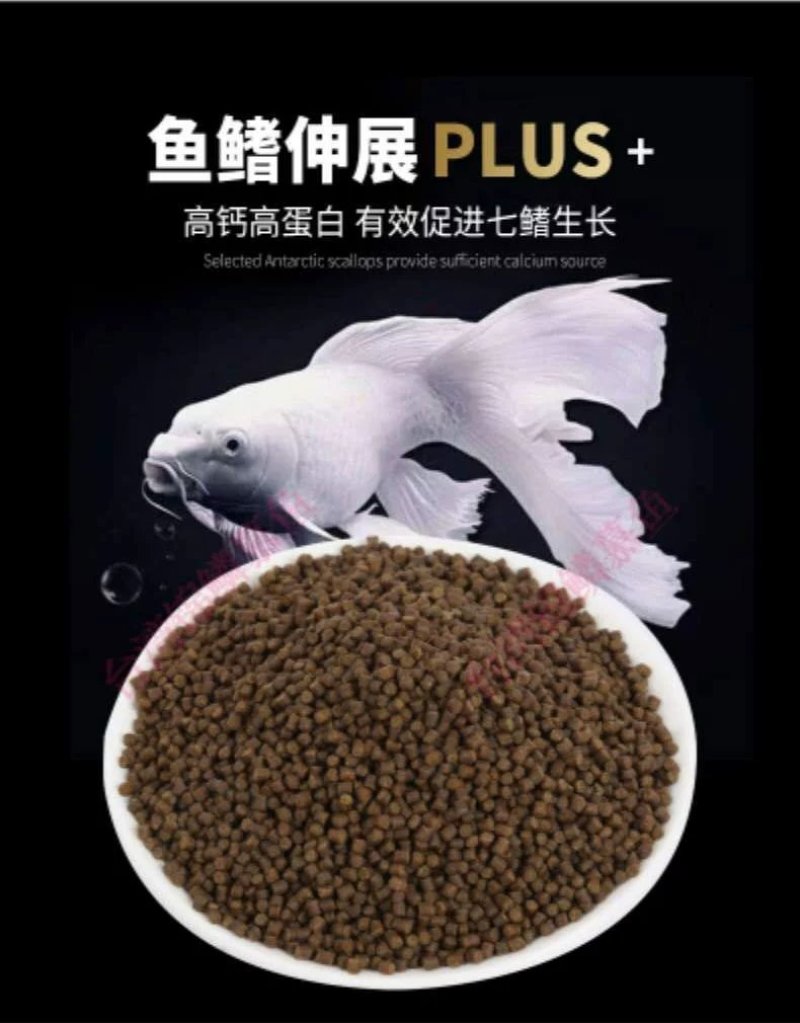 球体蝴蝶鲤