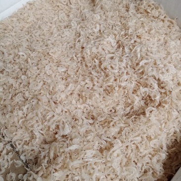 无盐淡干虾皮(大量有货)