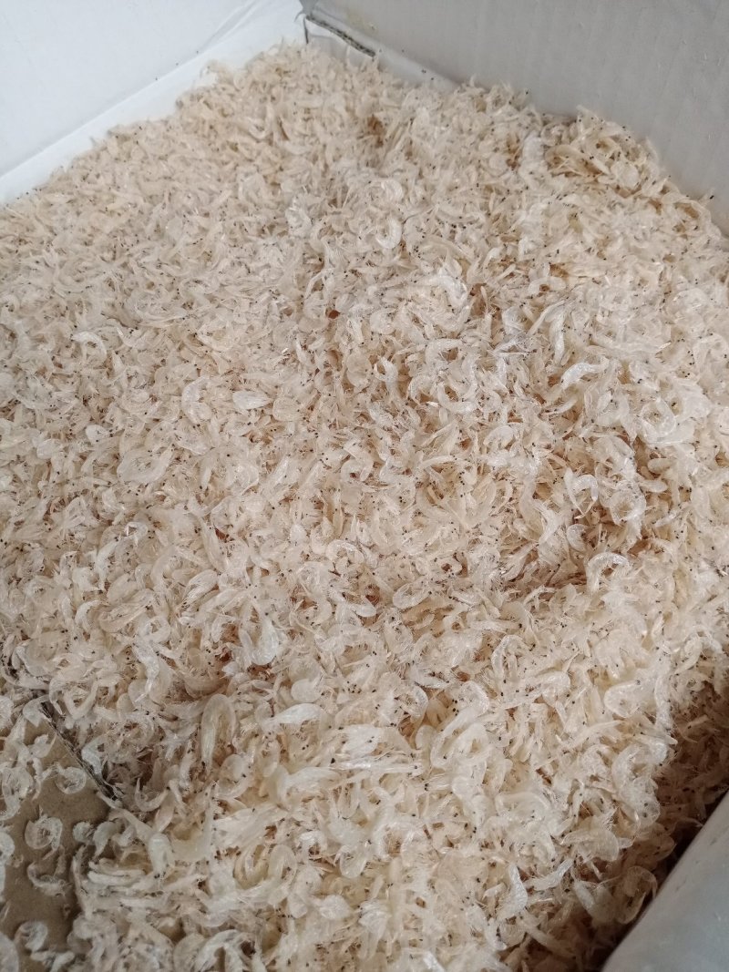 无盐淡干虾皮(大量有货)