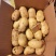 土豆大量上市。