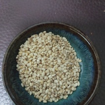 苏丹一级色选白芝麻新货(粒大色韵干净)2024新货预订