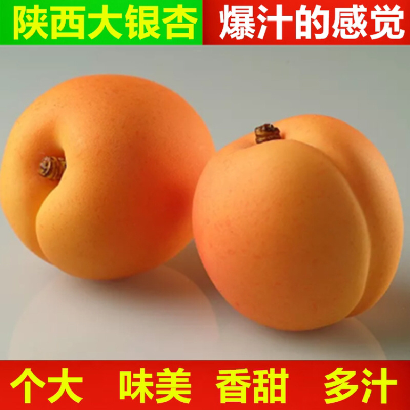 陕西大银杏果大肉厚香甜多汁一件代发