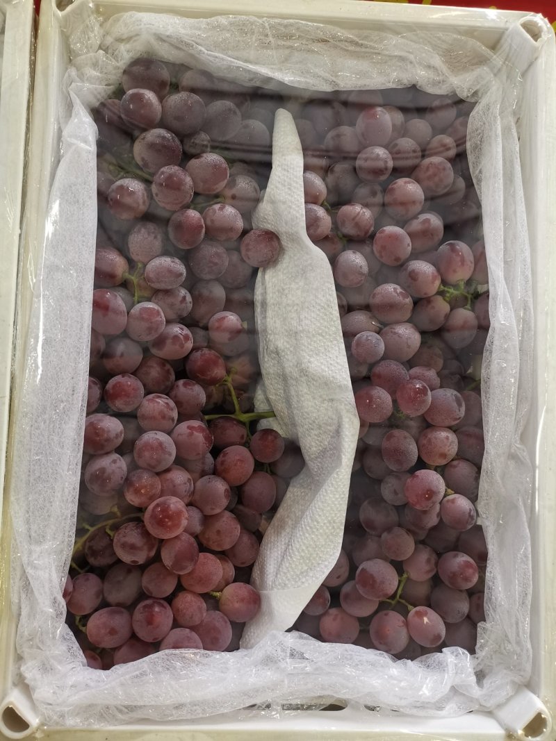水果