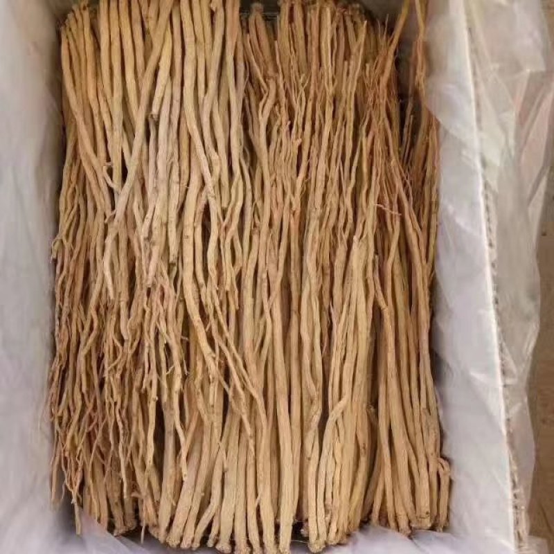 临洮白条党参通货人工挑拣无杂质量大，从优产地直发